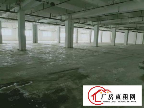  虎门树田独门独院70000平红本厂房招租可办环评可分租