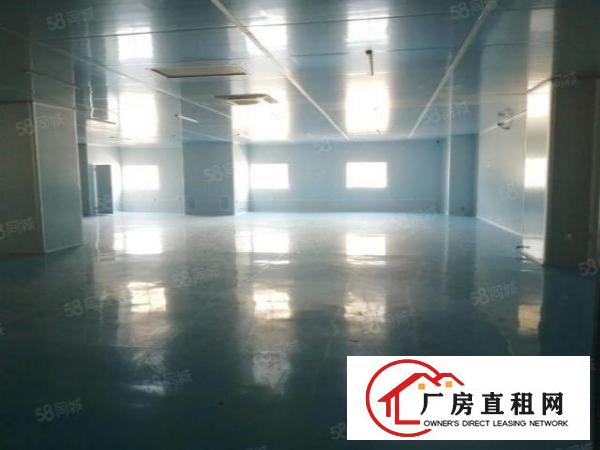  虎门临环莞快速怀德新出原房东厂房十万级无尘车间5200平