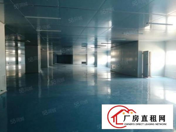  虎门临环莞快速怀德新出原房东厂房十万级无尘车间5200平