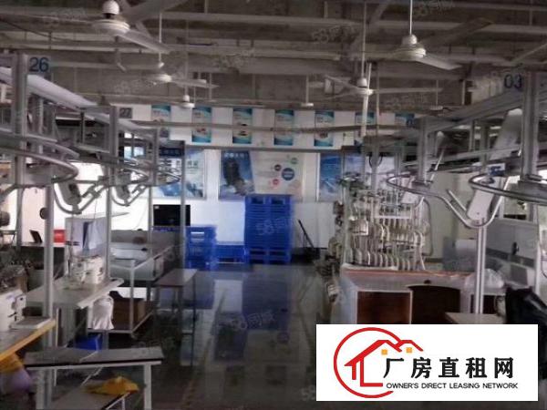  原房东制衣厂2000平米虎门厂房出租现成制衣线路自动流水线