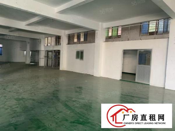  龙眼10米高钢构厂房带阁楼！全新地坪漆！欢迎来电咨询