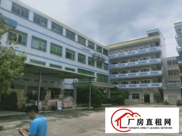  虎门北栅广深高速出口附近原房东独院15000平方出租