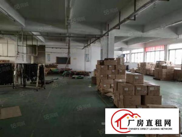  虎门北栅广深高速出口附近原房东独院15000平方出租