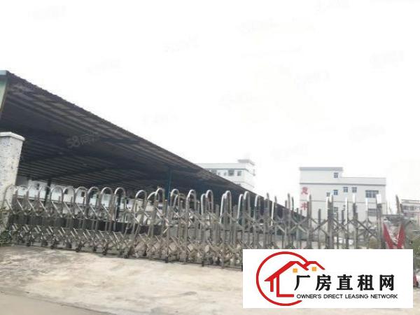  虎门新出原房东单一层10米高厂房带卸货平台7150出租可分租
