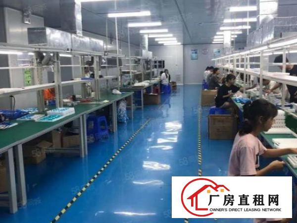  南栅五区原房东厂房实业客转租楼上2100平无尘车间可办环评