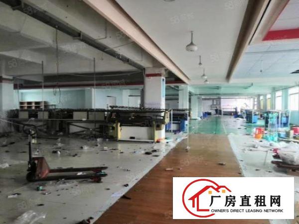  虎门高速出口附近新出一整层2450方带精装厂房