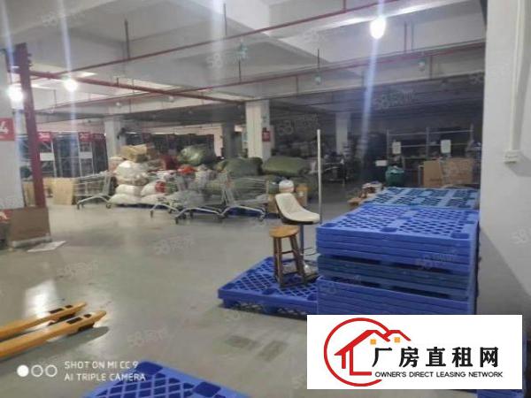  南栅本地房东独院厂房空出，现招租，只考虑整租