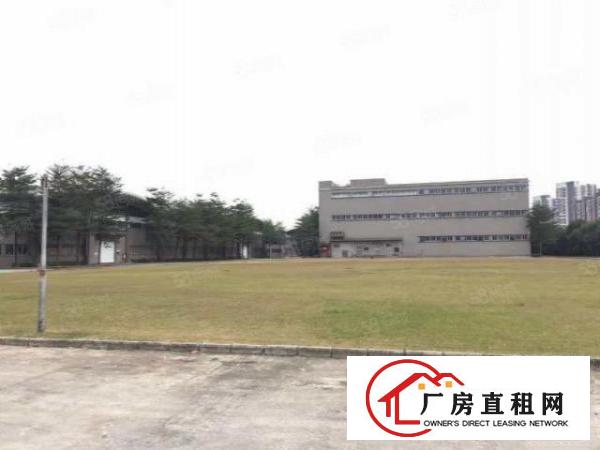  虎门北栅新出20000平物流仓库出租贸易仓库出租分租带卸平台