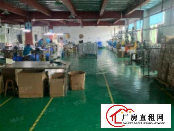 笋！沿江高速旁原房东4000平方豪华装修独院厂房出租啦！