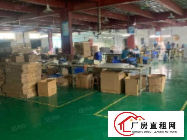  笋！沿江高速旁原房东4000平方豪华装修独院厂房出租啦！