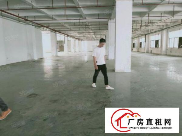  龙眼工业区一楼2850平二楼1350平带装修可办环评
