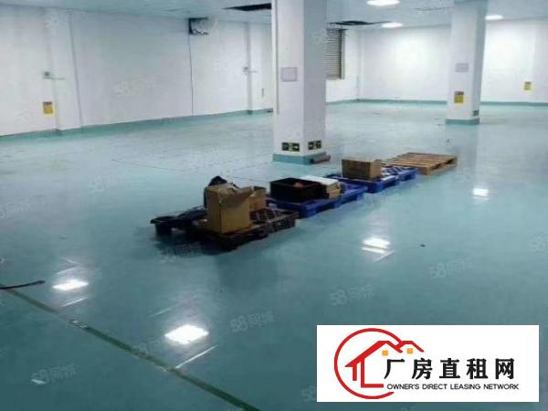  小捷滘带环评11元房出租200到1000平方精装修办公室