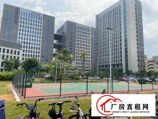  东莞虎门龙眼工业园2万平厂房出租精装修一楼仓房500平起分租