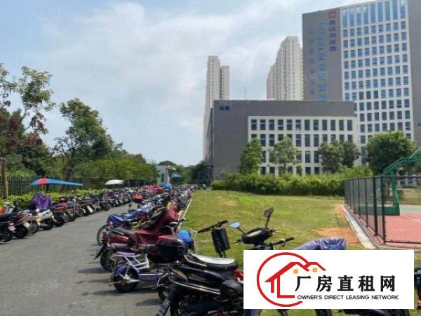  东莞虎门龙眼工业园2万平厂房出租精装修一楼仓房500平起分租