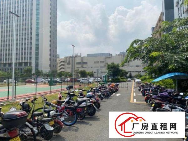  东莞虎门龙眼工业园2万平厂房出租精装修一楼仓房500平起分租