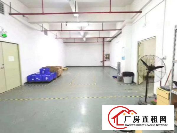  东莞虎门龙眼工业园2万平厂房出租精装修一楼仓房500平起分租