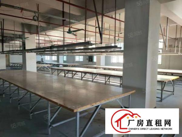  镇口房东工业大厦厂房出租，一层1500平方，500平方起租