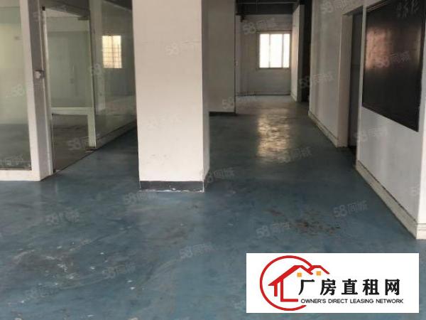  龙眼新出服装厂房招租650平米带装修