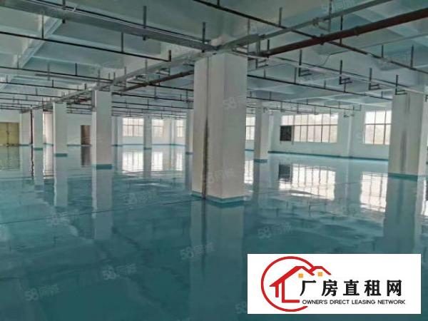  南栅本地房东产业招租，形象好，700平方起租
