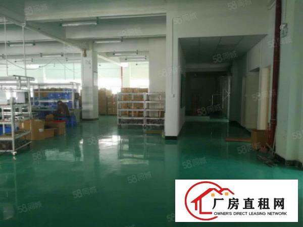  北栅原房东独院式式厂房分出租，整租优先