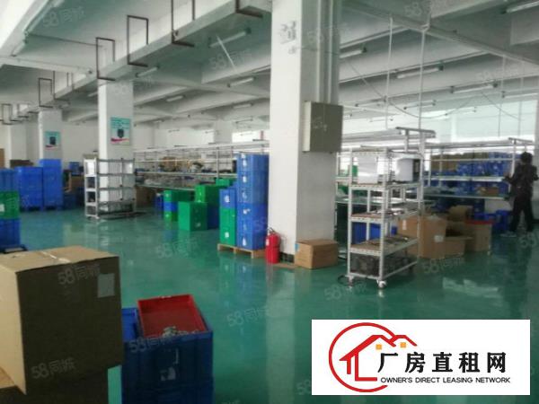  北栅原房东独院式式厂房分出租，整租优先