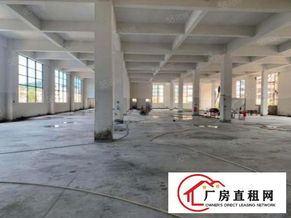  11000方独门独院原房东超大空地