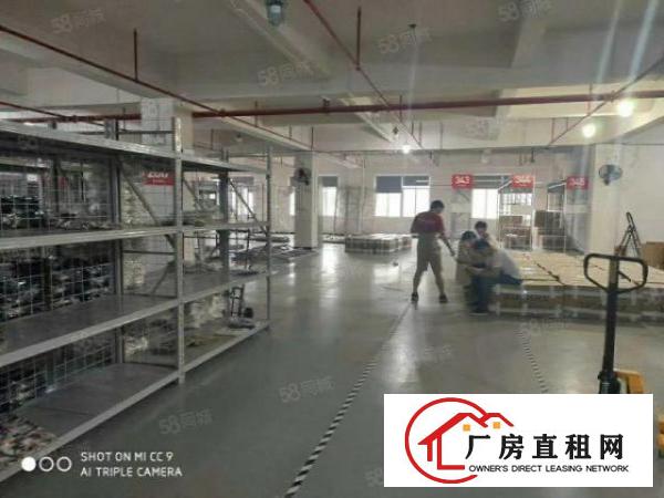  南栅本地房东独院厂房空出，现招租，只考虑整租