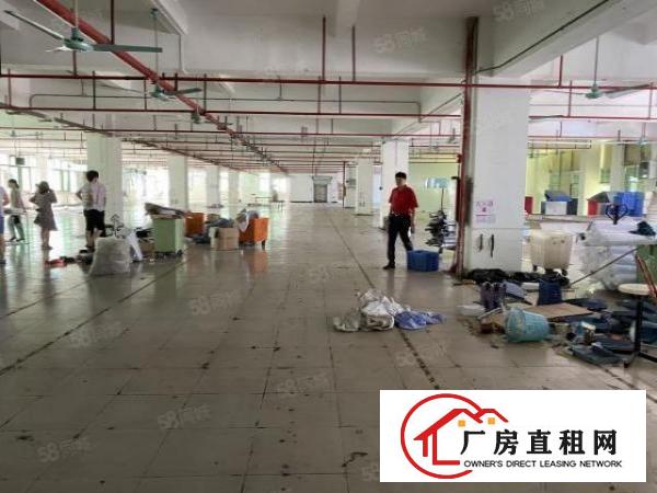  虎门南栅五原房东1200方实际面积厂房出租带办公室装修带环评