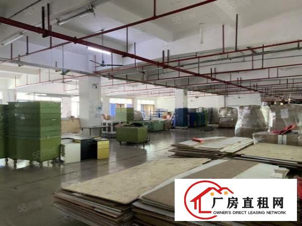  虎门南栅五原房东1200方实际面积厂房出租带办公室装修带环评