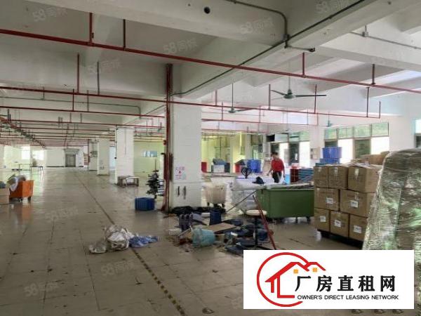  虎门南栅五原房东1200方实际面积厂房出租带办公室装修带环评