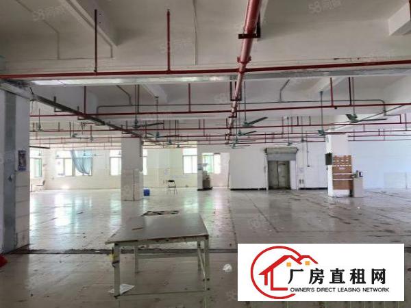  虎门南栅五原房东1200方实际面积厂房出租带办公室装修带环评