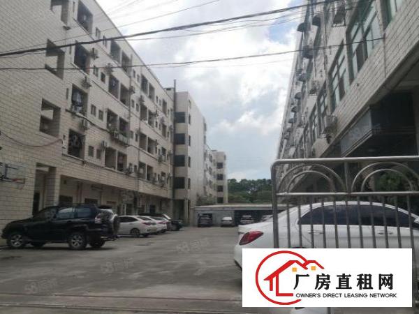  虎门东风社区新出厂房，水电齐全，现成办公室精装修，场地超大！