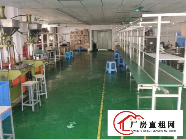  虎门大宁新出工业园区680方独立一层水电齐豪华装修厂房出租