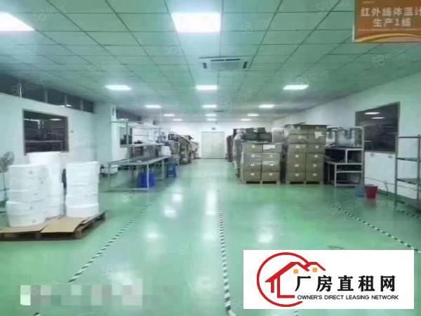  虎门新出一手原房东独门独院厂房出租，可以办理Voc排放环评！