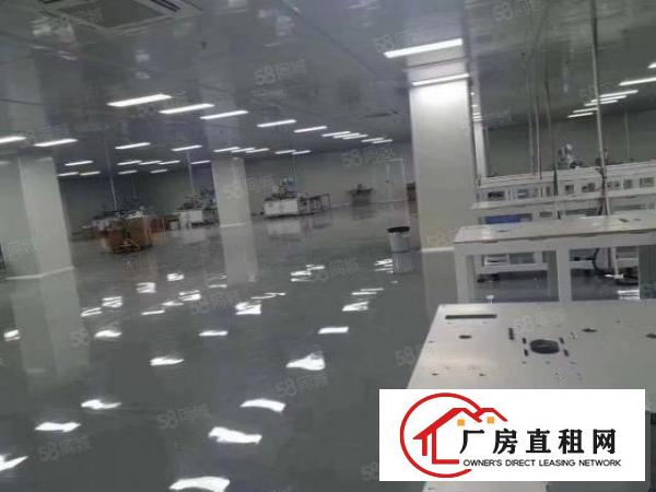  精！虎门镇南栅独门独院原房东7800平厂房出租！新出绝世靓盘