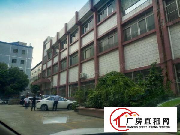  。虎门大宁村委厂房楼上2480平米水电齐全带办公室出租