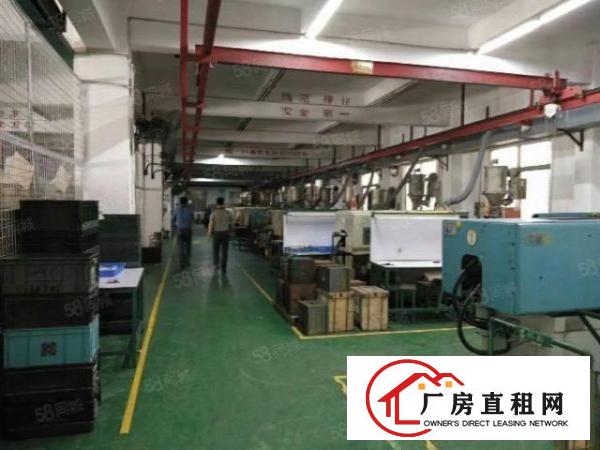 龙眼独院厂房出租，服装制衣类客户优先，不接受物业承包