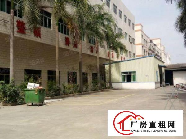  可办环评！大宁原房东豪华装修6000平独院厂房出租啦！