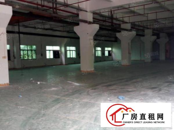  可办环评！大宁原房东豪华装修6000平独院厂房出租啦！