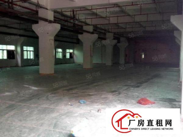  可办环评！大宁原房东豪华装修6000平独院厂房出租啦！
