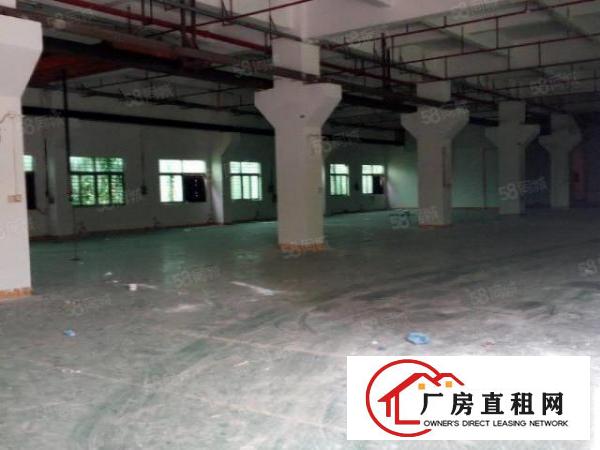  可办环评！大宁原房东豪华装修6000平独院厂房出租啦！