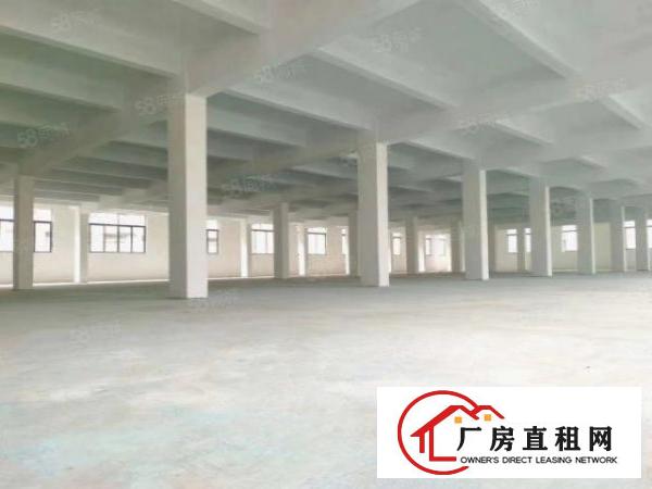  虎门新出独门独院4600方水电齐全可以办理环评