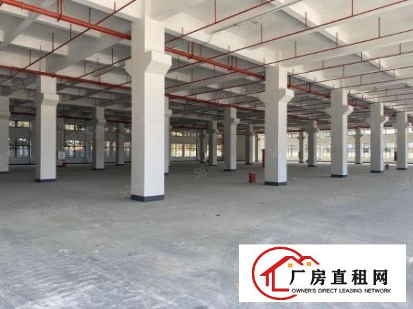 虎门新出原房东全新独院带红本厂房出租，可办环评，实际面积！