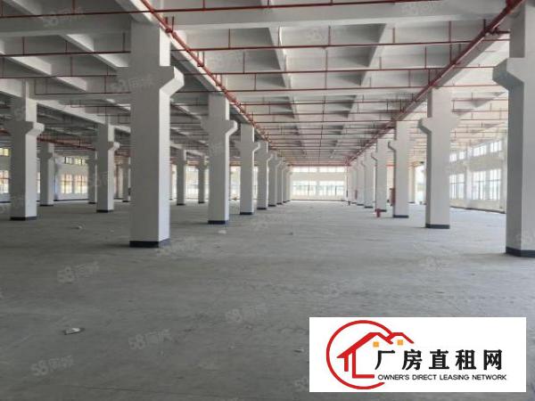  虎门新出原房东全新独院带红本厂房出租，可办环评，实际面积！