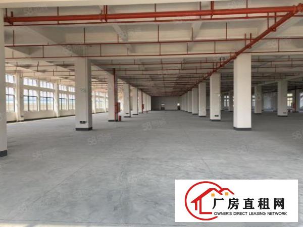 虎门新出原房东全新独院带红本厂房出租，可办环评，实际面积！