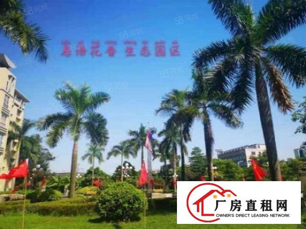  免租6个月政府扶持复工！真实有效！虎门高端产业园全新厂房分租