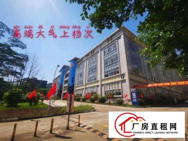  免租6个月政府扶持复工！真实有效！虎门高端产业园全新厂房分租