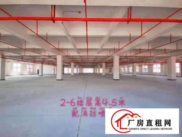  免租6个月政府扶持复工！真实有效！虎门高端产业园全新厂房分租