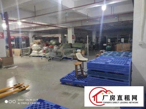  南栅本地人厂房正式招租，出租面积按需，没公摊
