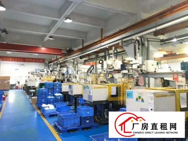  南栅本地人厂房正式招租，出租面积按需，没公摊
